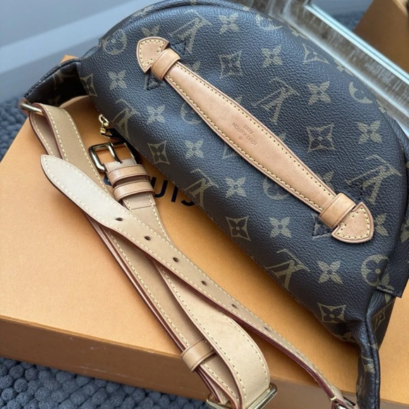 Louis Vuitton Discontinued Monogram Bumbag - Picture 4 of 12